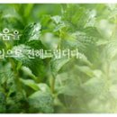관악드림유통 이미지