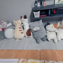 우리슈퍼 이미지