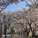 덕풍천서로 이미지