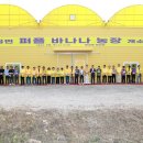 정착농장 이미지