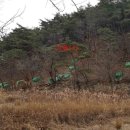 포항시북구1 이미지