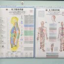 거뜬안마원 | 망포마사지 영통안마 국가공인 경기보건안마센터 방문 솔직 후기