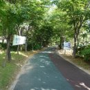 푸른길약국 이미지