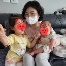 (경주·포항)해피케어 이미지