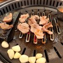 돈가우정고기