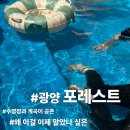 성불 | 아기랑 가기 좋은 광양 성불계곡 포레스트 솔직후기