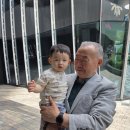 도도한의원 | 2025년 7월 엄마의 칠순잔치 @ 세종 긴자, 도도한케이크 칠순 쌀케이크 꽃담 꽃 추천