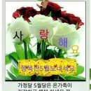 꽃길만걷자 이미지