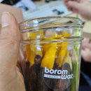 초코렛 | 보롬왓 초코렛 세트 후기 🍫 (선물 받으면 기분 좋아지는 이유)