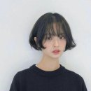 메종드하윤