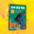 [바이킹] 나비 관찰 백과 이미지