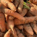 하대동270 이미지