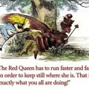 명수상회 이미지