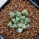 사금농장 이미지