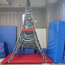 용인대 마루한 태권도 이미지