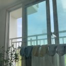 숨디모스 | 다시 시작해보는 주간일기 4월의 셋째주