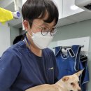 동물병원 Dr.정 이미지