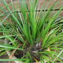 그레이스 힐링 이미지