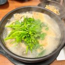 오로지생태한마리 이미지