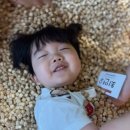 키즈영재어린이집 이미지