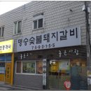 돼지의유혹