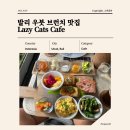 CATS TIME CAFE | 발리 우붓 브런치 조식 맛집 레이지캣츠 카페 Lazy Cats Cafe