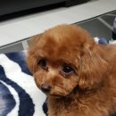 24시 지구촌메디컬센터 미용실 이미지