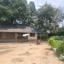 일로로이 이미지