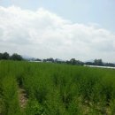 아우농장 이미지