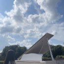 하이얀피아노 이미지