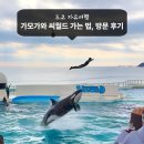 범고래 | 도쿄 가모가와 씨월드 가는법 범고래 버스 티켓 아쿠아리움 방문 후기