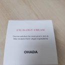 오하다 시카로지 수분크림 실사용 후기!(진정+보습+수분)