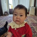 서귀포시축협청정제주촌