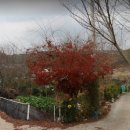 덕원공인중개사사무소 이미지