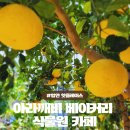 경남 가볼만한 곳 함안 아라깨비베이커리식물원카페 리뷰