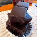 쌍령동-5 | 🌿 경기광주카페 쌍령동 투힐스 / 대형 베이커리부터 식물마켓까지 꽉 찬 광주 힐링스팟