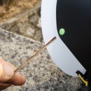 지니 나비 이미지