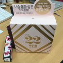 세건씨엔티 | 조성아22) 씨엔티 대왕쿠션 2호 샌드베이지 + 수부지타입 리뷰