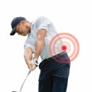 엘리트핏24 골프 이미지