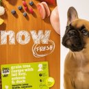 퍼피라이프 이미지