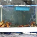 산성횟집 이미지