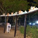 엄사중앙어린이공원 이미지