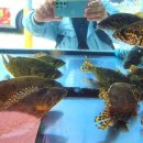 구만횟집 이미지