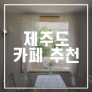 숲속상회