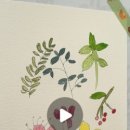 간다하개 이미지