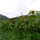 박정미농장 이미지