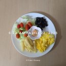 더서울유외과의원 | 260422 친구랑 데미안허스트 전시회(국립현대미술관 서울), 유방외과 정기검진(더연세유외과의원)