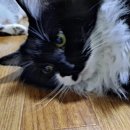 주공20단지아파트 이미지