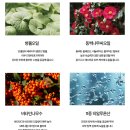 인셀덤/비에톤 멀티스틱 밤/화장품/피부관리/주름개선/미백/화장품추천