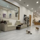 캣플코지눅 시화점 이미지